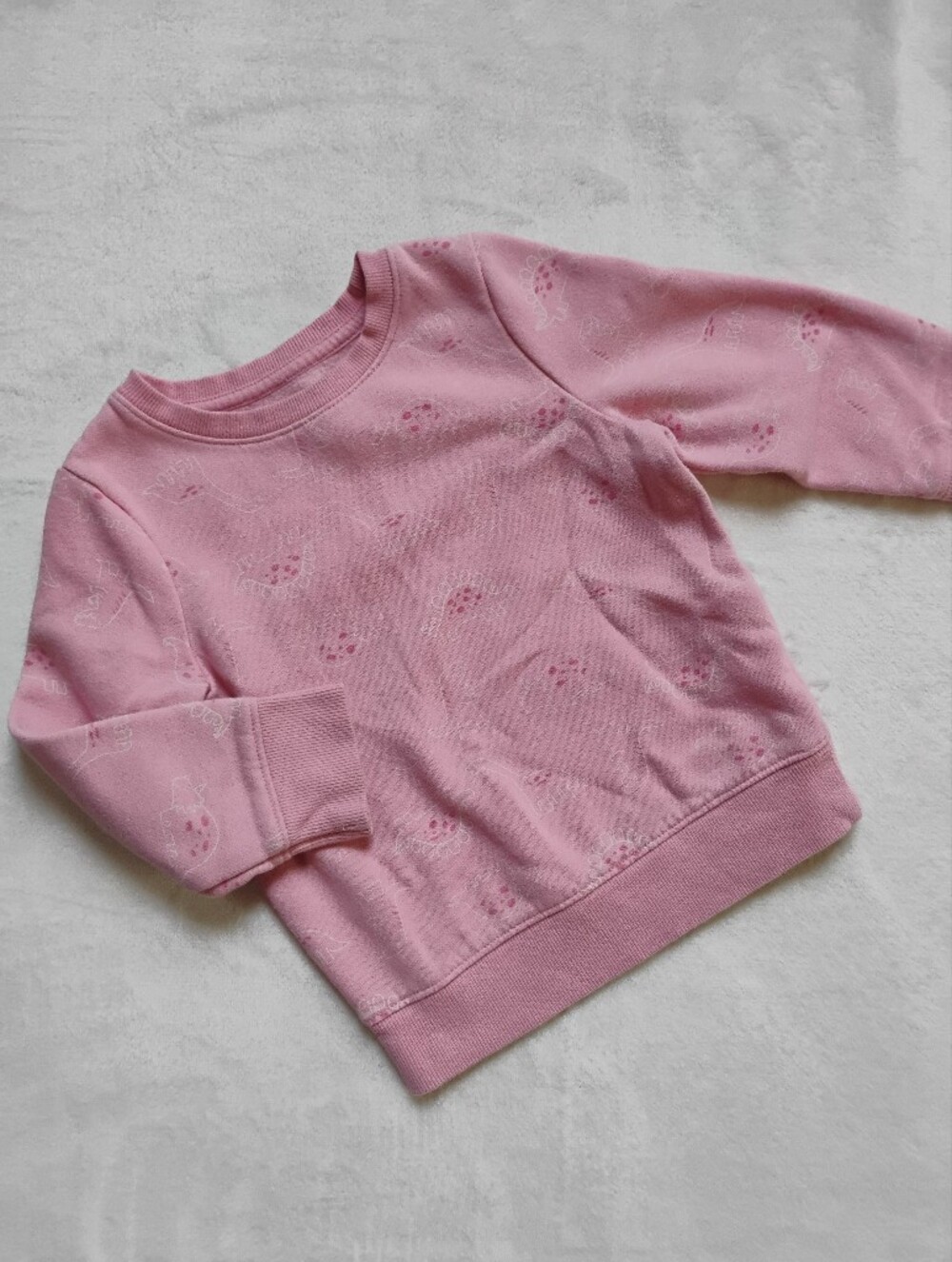 Cute Pink Dinosaur Sweatshirt | Outdoor Playground Top | 2T